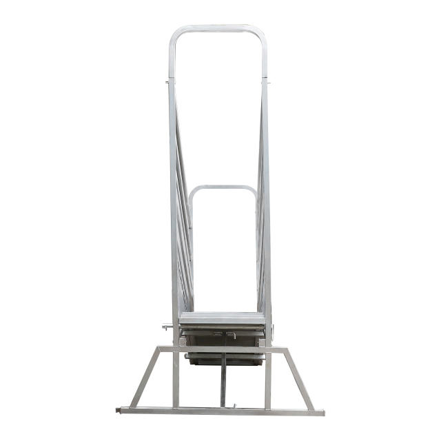 Cattle Ramp with walk way