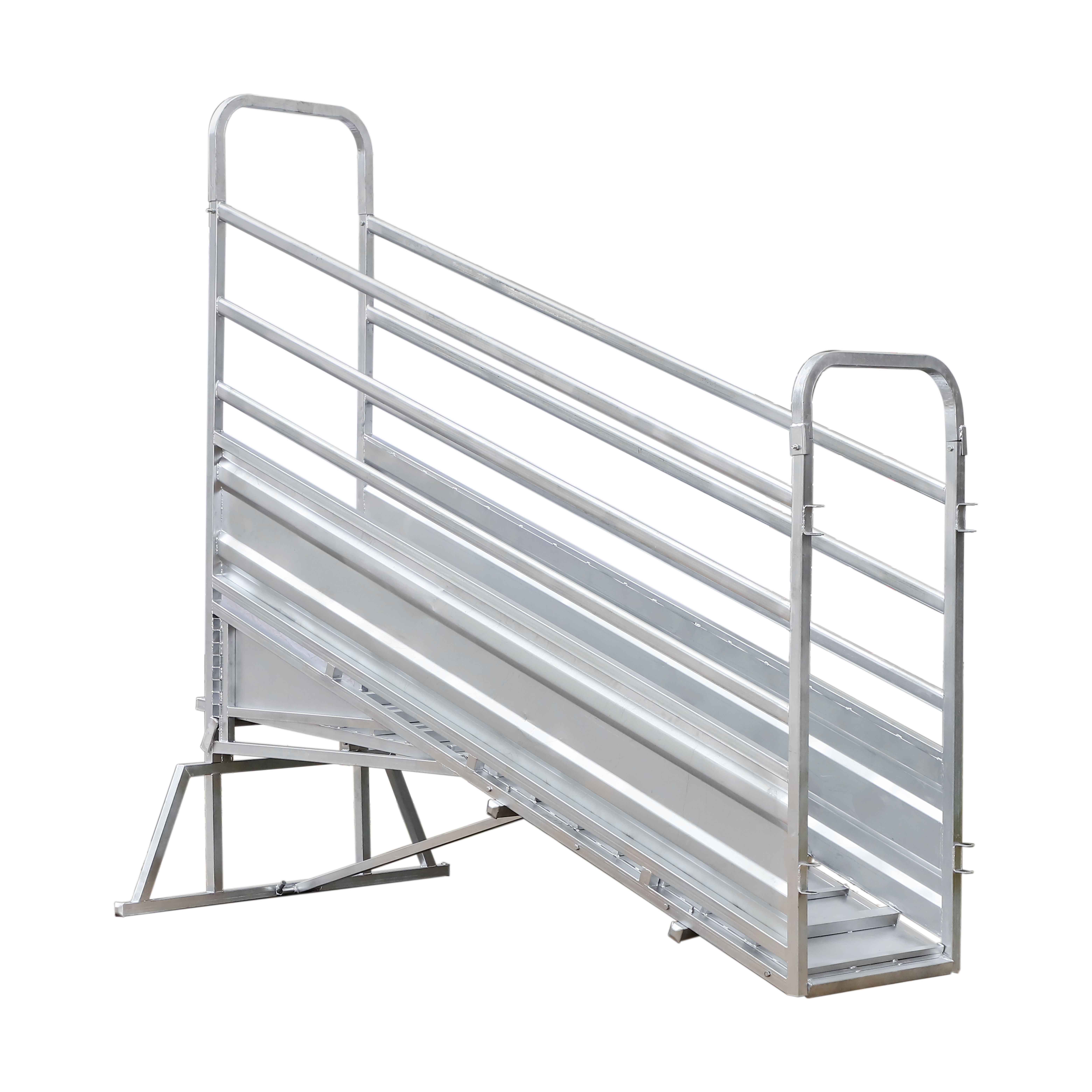 Cattle Ramp with walk way
