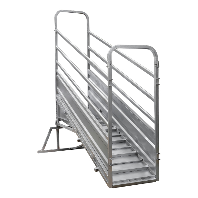 Cattle Ramp with walk way