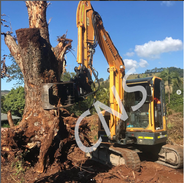 CNS HYDRAULIC VOLVO EC80 EXCAVATOR TREE WOOD LOG CUTTER SHEAR GRAPPLE SAW