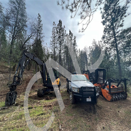 CNS EXCAVATOR BRUSH CUTTER MULCHER WOOD CRUSHER SUPER CHIPPER CLAW FLAIL MOWER