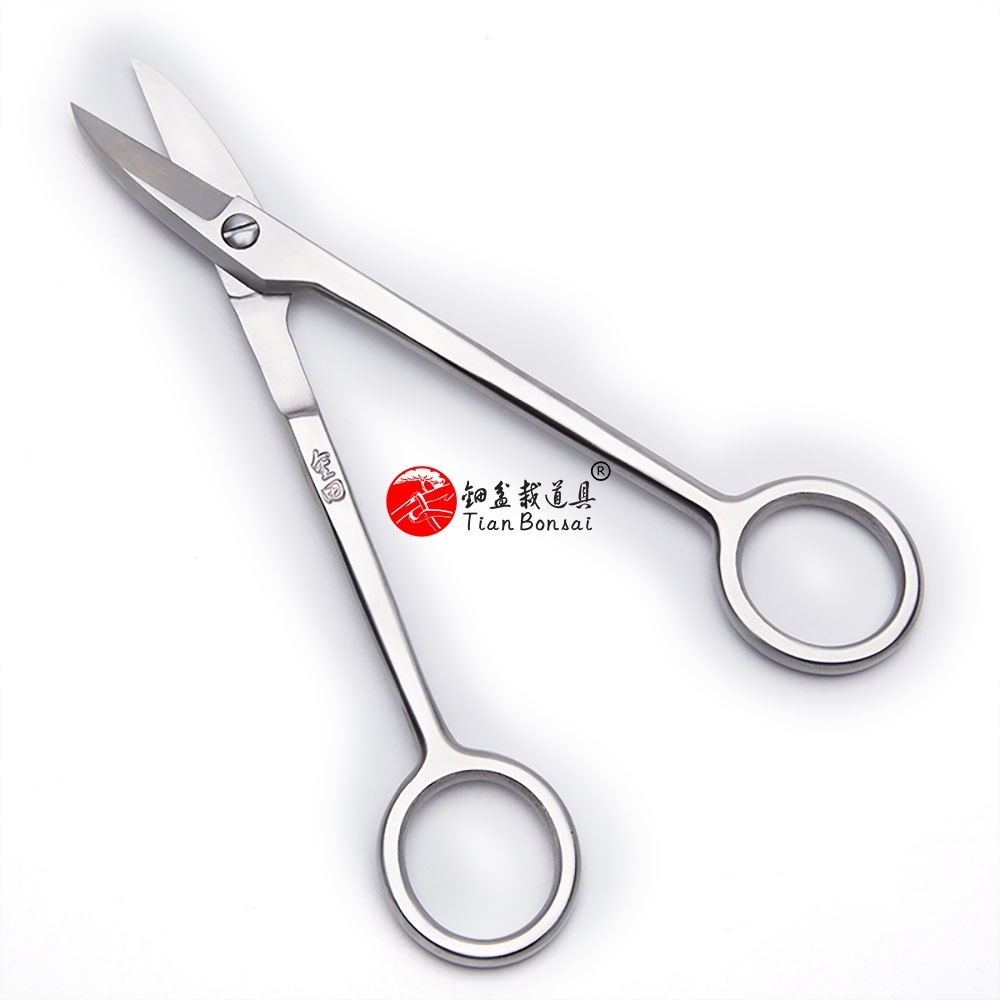 Long Handle Scissors 150mm (6 inch)  Bonsai Tools Made by 5Cr15MoV Stainless Steel From TianBonsai