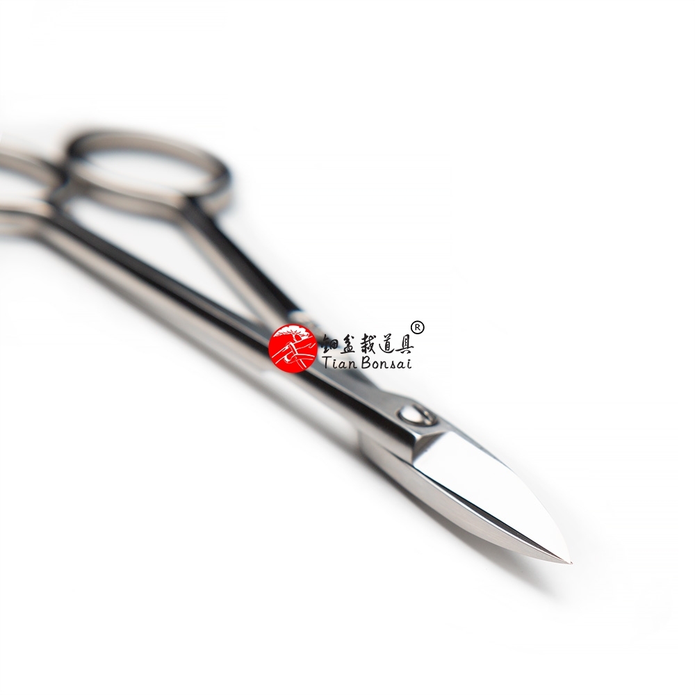 Long Handle Scissors 150mm (6 inch)  Bonsai Tools Made by 5Cr15MoV Stainless Steel From TianBonsai