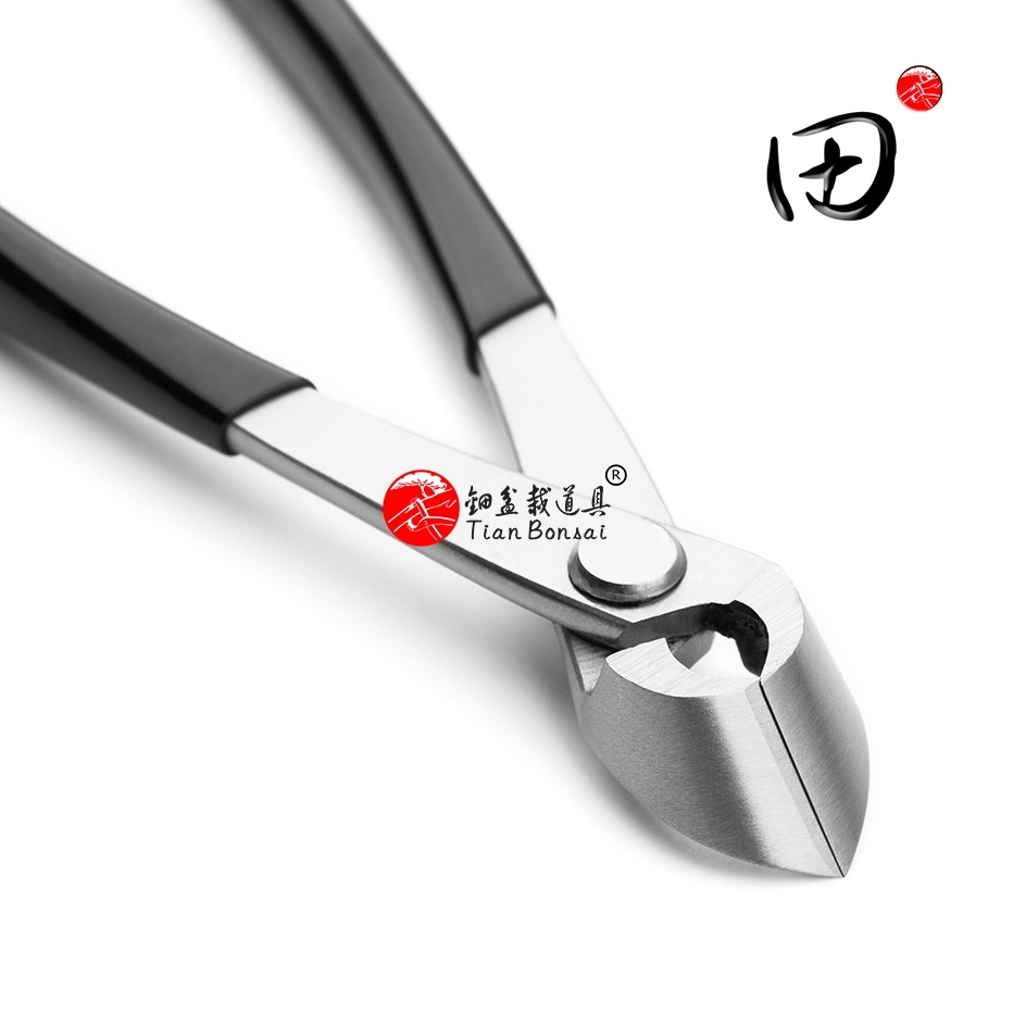 Anti-slip handle series 165 mm straight edge branch cutter Alloy Steel bonsai tools from TianBonsai