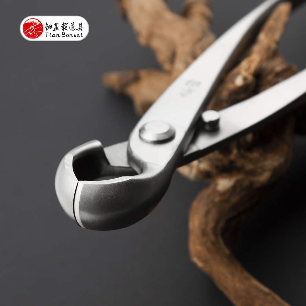 professional grade 205 mm knob cutter concave edge cutter 4Cr13MoV Alloy Steel bonsai tools made by TianBonsai