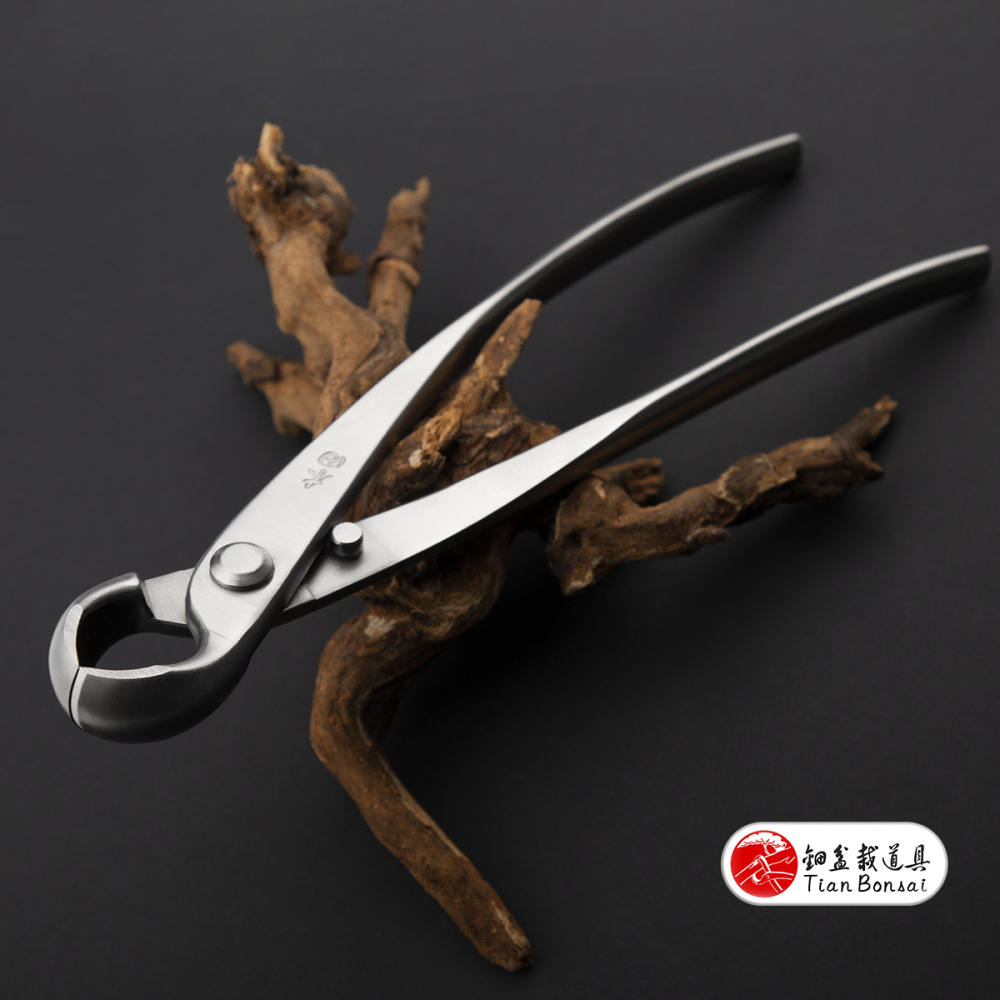 professional grade 205 mm knob cutter concave edge cutter 4Cr13MoV Alloy Steel bonsai tools made by TianBonsai