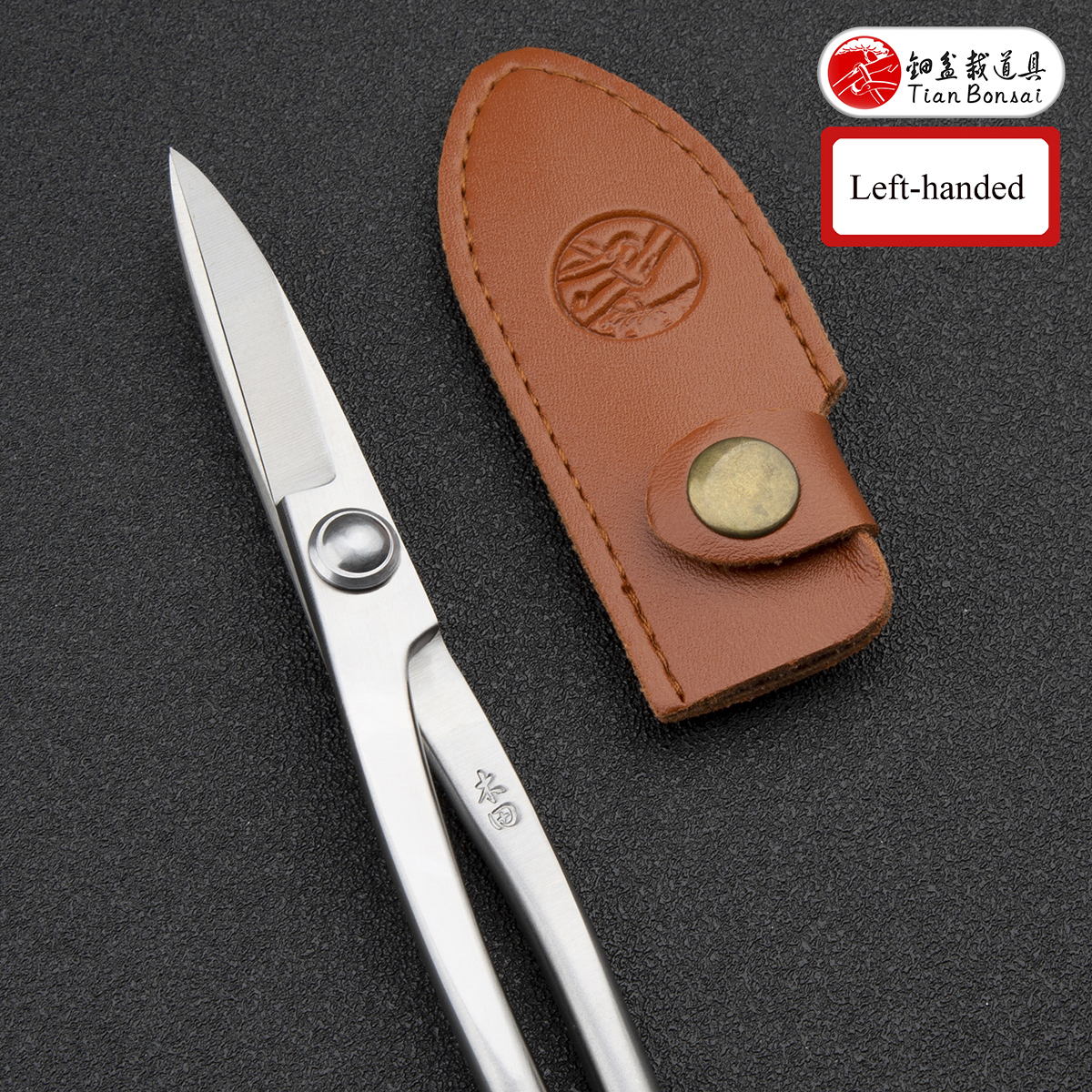 Material Upgrade professional grade bonsai tools 210 mm long handle scissors made by 5Cr15MoV alloy steel