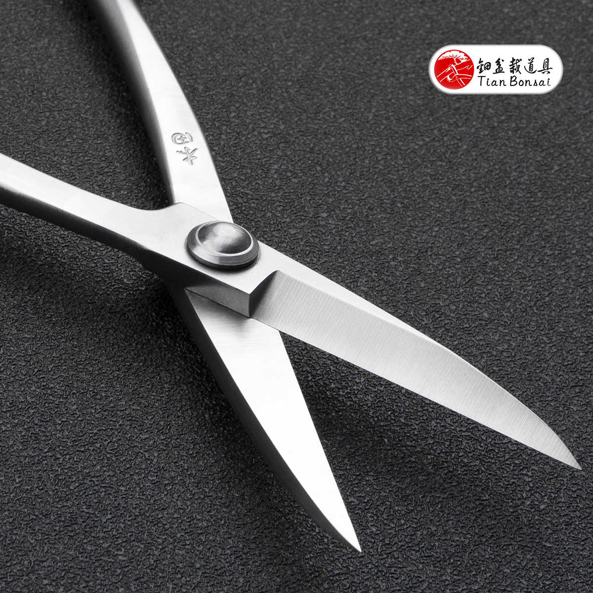 TianBonsai professional grade bonsai tools 210 mm long handle scissors