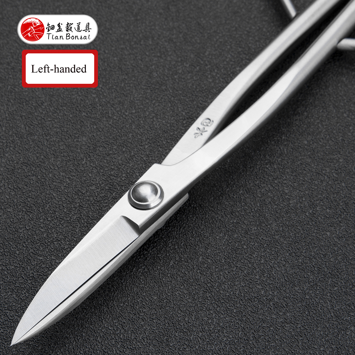 Material Upgrade professional grade bonsai tools 210 mm long handle scissors made by 5Cr15MoV alloy steel