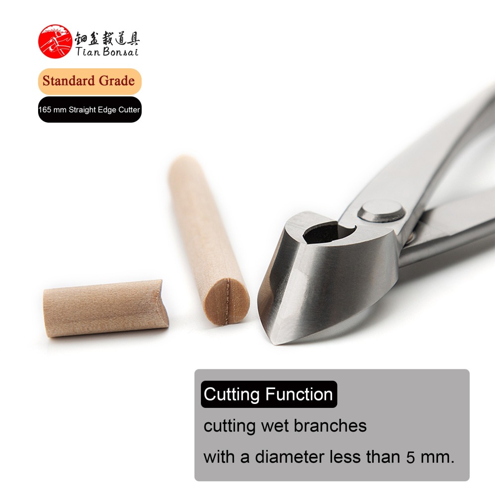 TianBonsai Bonsai Tools Straight Edge Branch Cutter