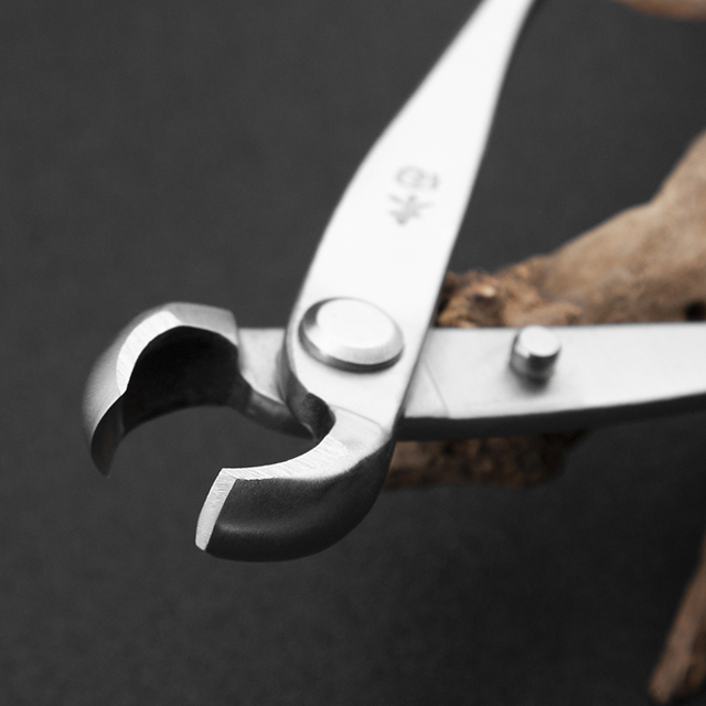 TianBonsai professional grade bonsai tools knob cutter concave edge cutter