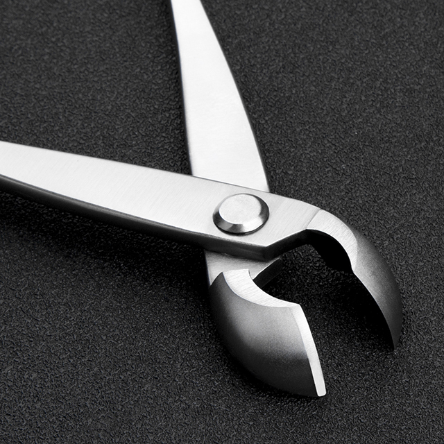 TianBonsai professional grade bonsai tools round edge cutter mixed function of round & straight edge made by 4Cr13MoV Alloy Steel