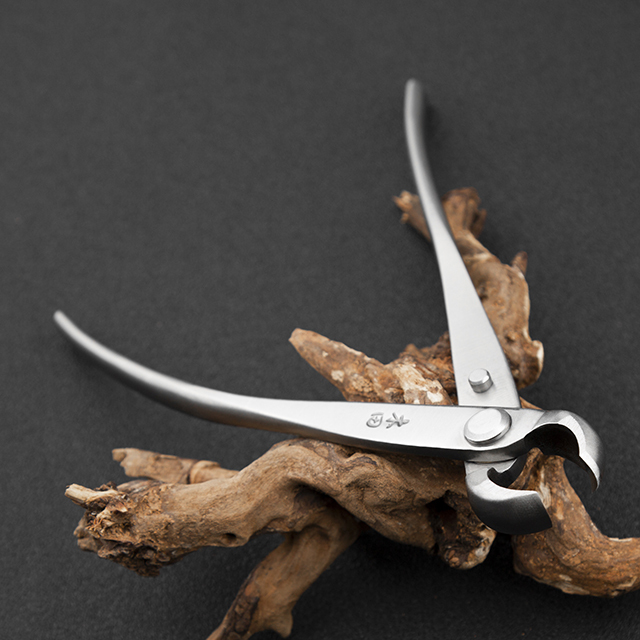 TianBonsai professional grade bonsai tools knob cutter concave edge cutter