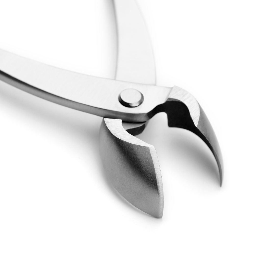 TianBonsai professional grade bonsai tools round edge cutter mixed function of round & straight edge made by 4Cr13MoV Alloy Steel