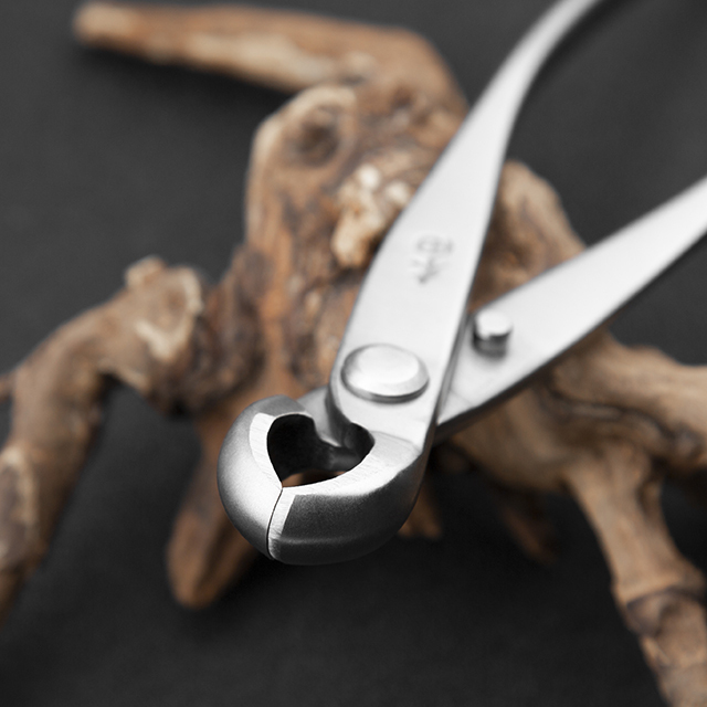 TianBonsai professional grade bonsai tools knob cutter concave edge cutter