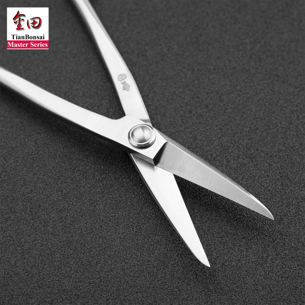 Master series 210 mm long handle bonsai scissors forging by 5Cr15MoV Alloy Steel bonsai tools from TianBonsai