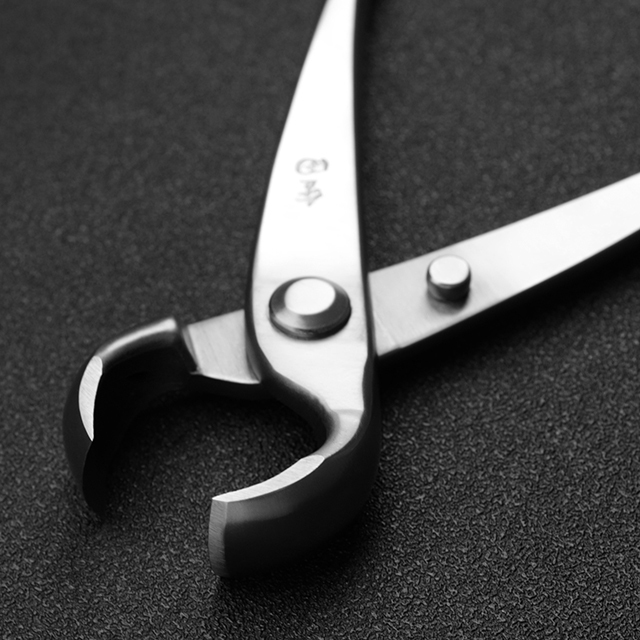 Master Series 205 Mm Knob Cutter Made By 5Cr15MoV Alloy Steel Bonsai Tools From TianBonsai