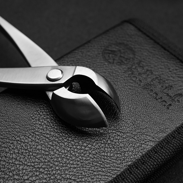 Master Series 205 Mm Round Edge Cutter Made By 5Cr15MoV Alloy Steel Bonsai Tools From TianBonsai