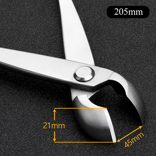 Master Series 205 Mm Round Edge Cutter Made By 5Cr15MoV Alloy Steel Bonsai Tools From TianBonsai