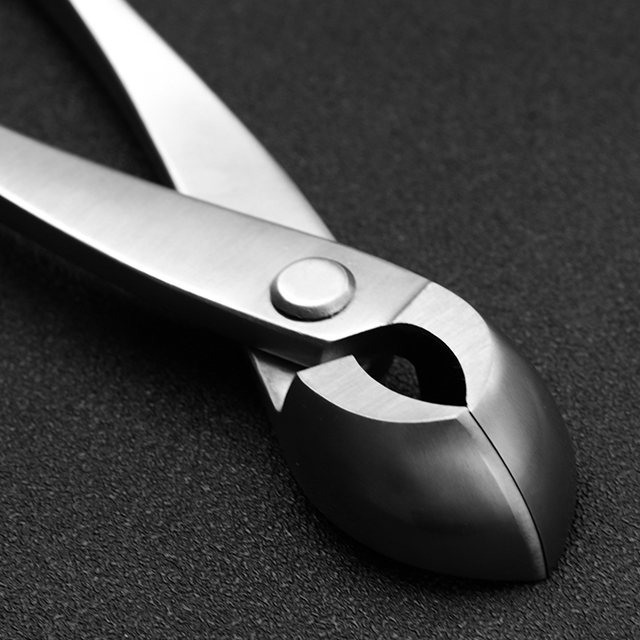 Master Series 205 Mm Round Edge Cutter Made By 5Cr15MoV Alloy Steel Bonsai Tools From TianBonsai
