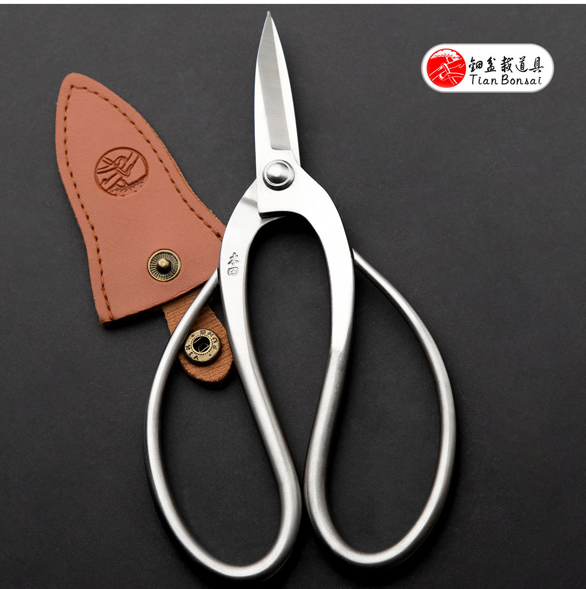 professional grade 190 mm root pruning scissors 4Cr13MoV Alloy Steel bonsai tools from TianBonsai