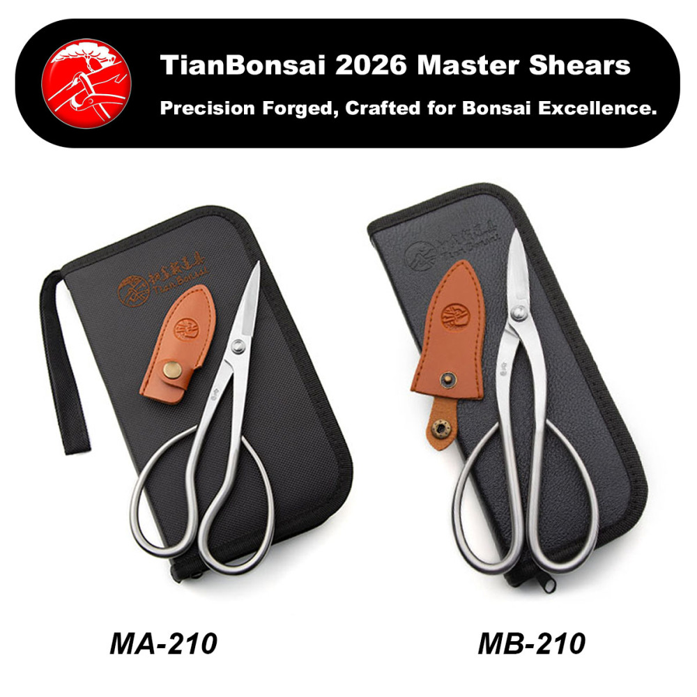 Master series 210-MA bonsai scissors forging by 5Cr15MoV Alloy Steel bonsai tools from TianBonsai