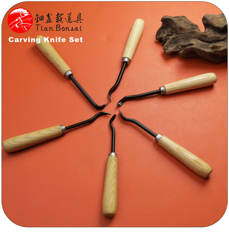 Bonsai Carving Knife 6-PCS Set Bonsai tool Set (CTB-S)