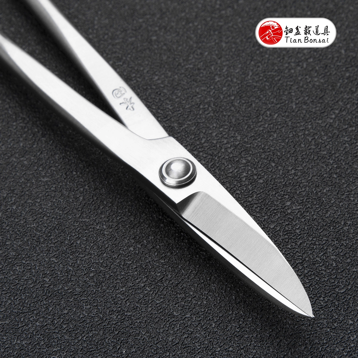 Straight-edge branch cutter used on a thicker bonsai branch beside bud scissors