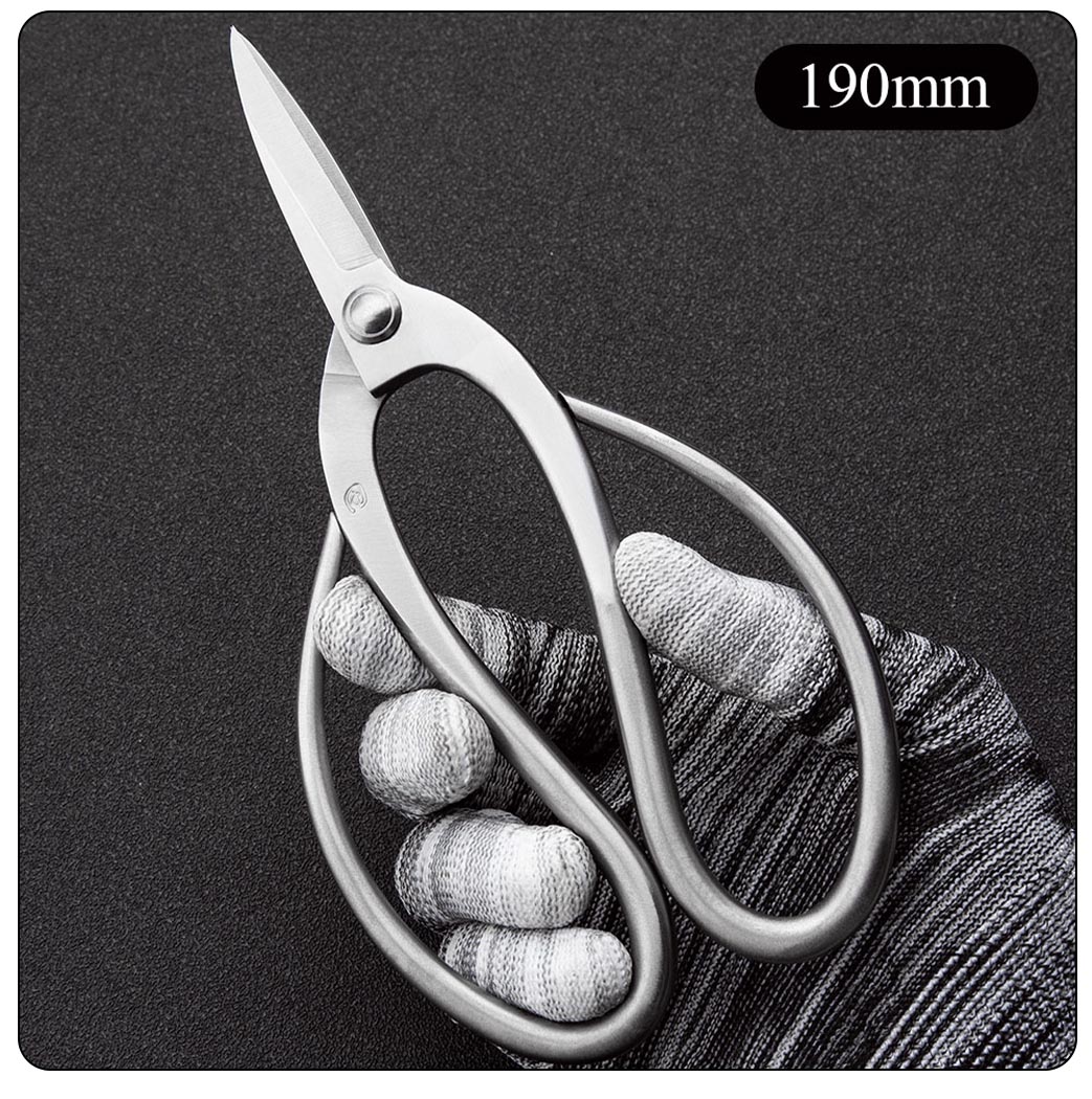 TianBonsai Standard Bonsai Scissors - A Simple and Easy-to-Use High-Value Choice