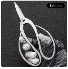 TianBonsai Standard Bonsai Scissors - A Simple and Easy-to-Use High-Value Choice