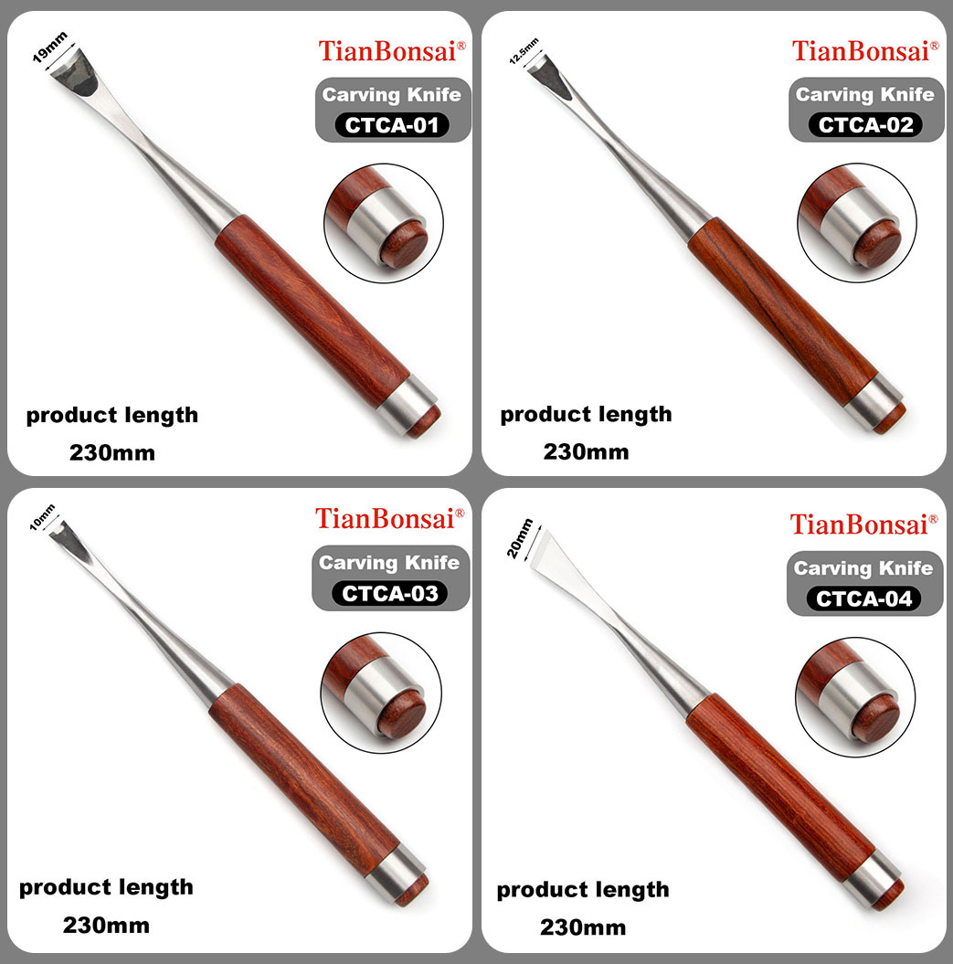 Bonsai Carving Knife 8-PCS Set Bonsai tool Set CTC-8S （Stainless Steel End Ring）