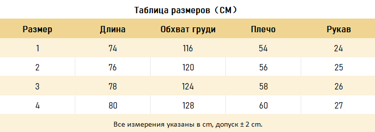 ФУТБОЛКИ Balenciaga