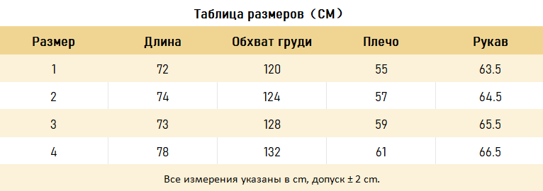ХУДИ  Balenciaga