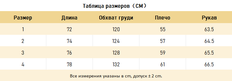 ХУДИ Balenciaga