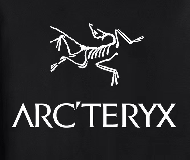 ХУДИ Arc'teryx