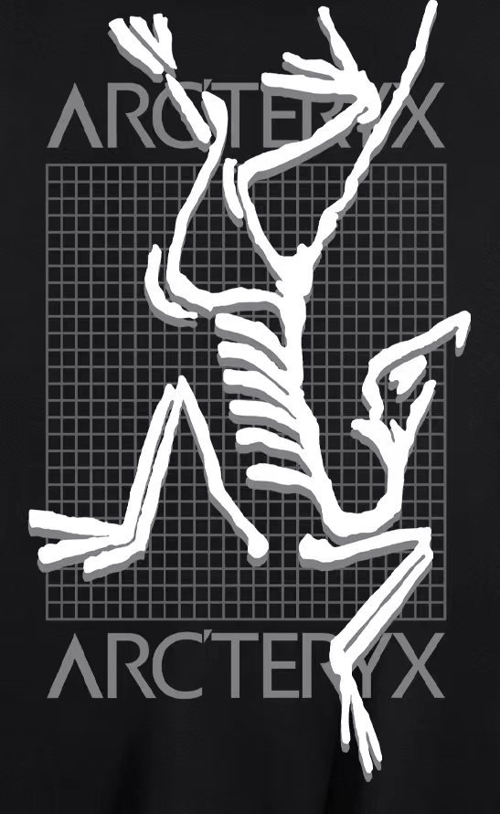 ХУДИ Arc'teryx