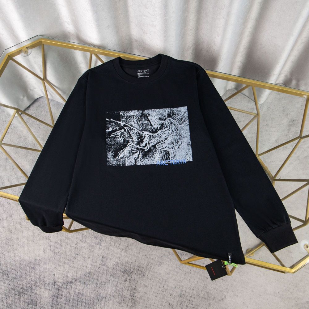 ХУДИ Arc'teryx
