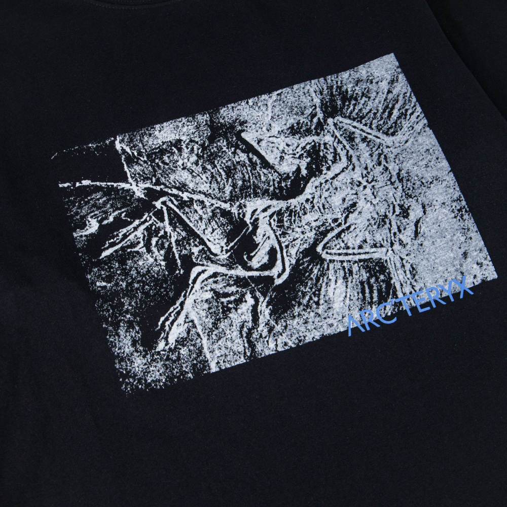 ХУДИ Arc'teryx