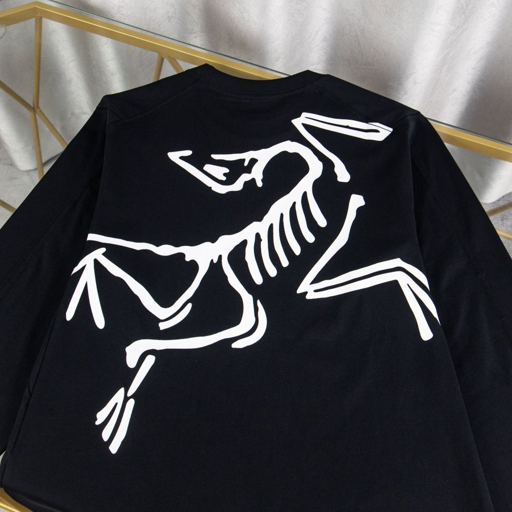 ХУДИ Arc'teryx