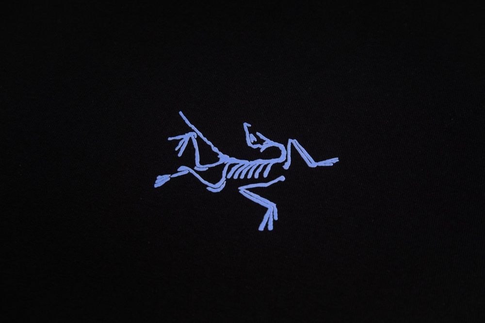 ХУДИ Arc'teryx