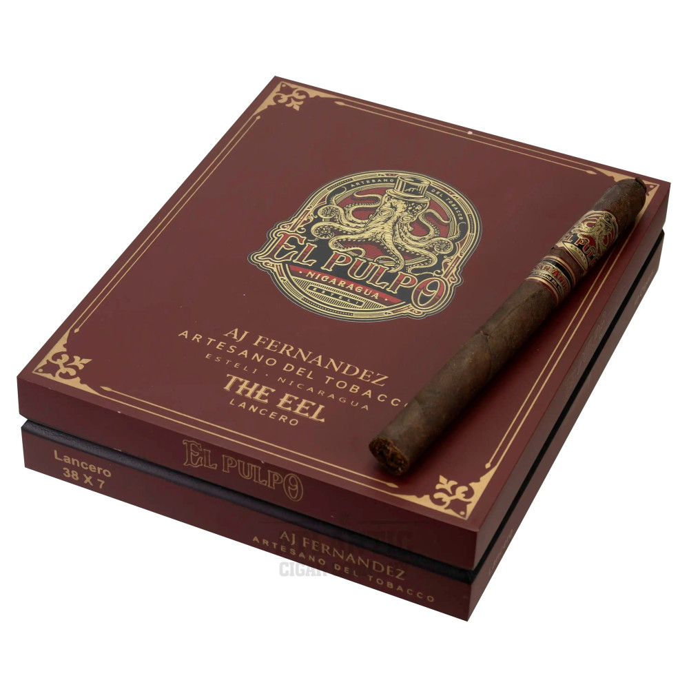 El Pulpo The Eel Lancero 10s 章鱼 鳗鱼 长矛 10支/盒