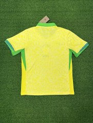 24-25 Brazil Home