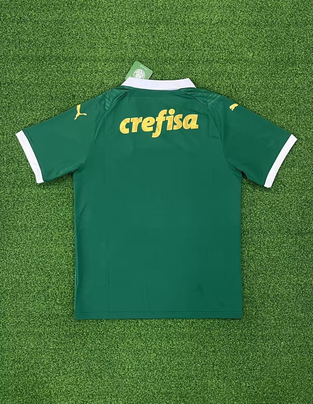 24-25 Palmeiras Home