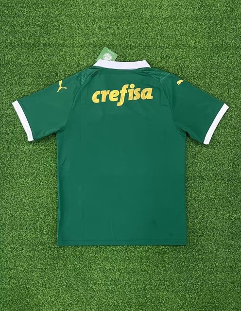 24-25 Palmeiras Home