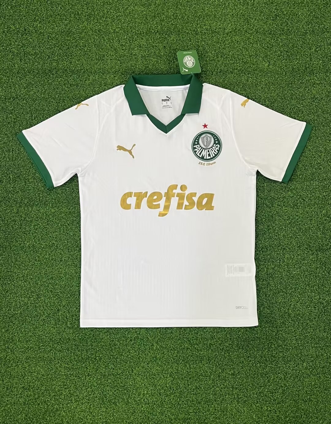 24-25 Palmeiras away game