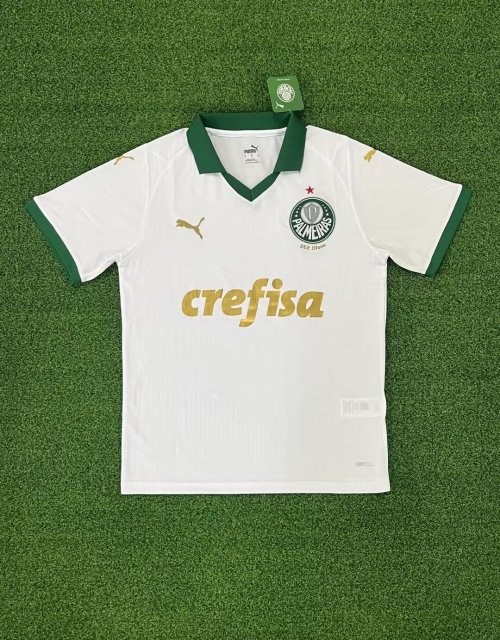 24-25 Palmeiras away game