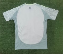 24-25 Mexico away game