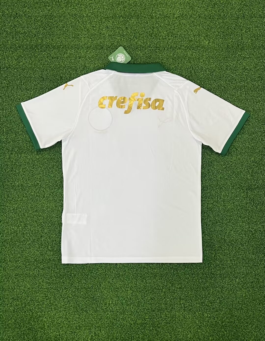 24-25 Palmeiras away game