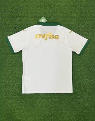 24-25 Palmeiras away game