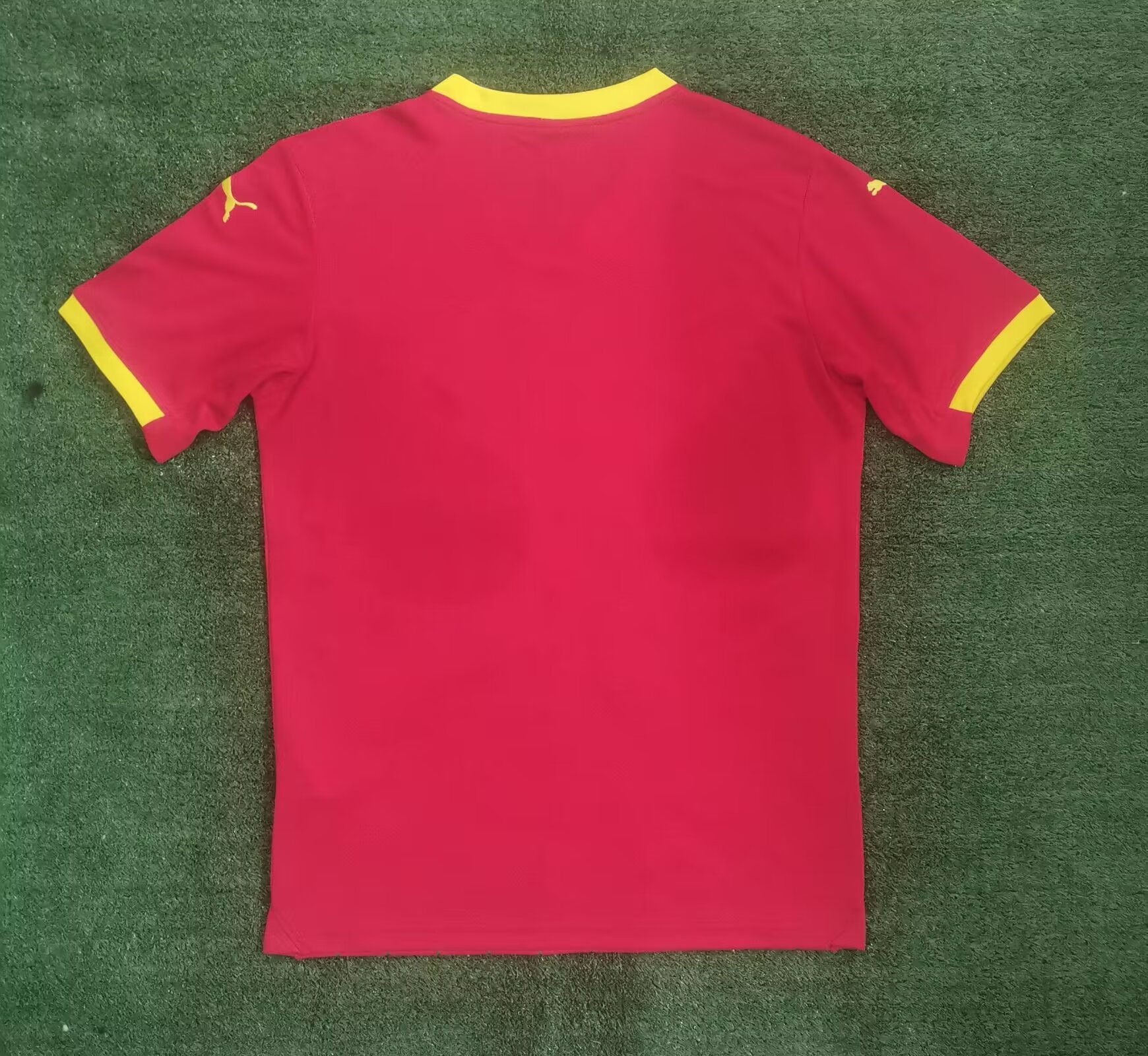 24-25 Guinea Home